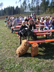 Kartoffelfest